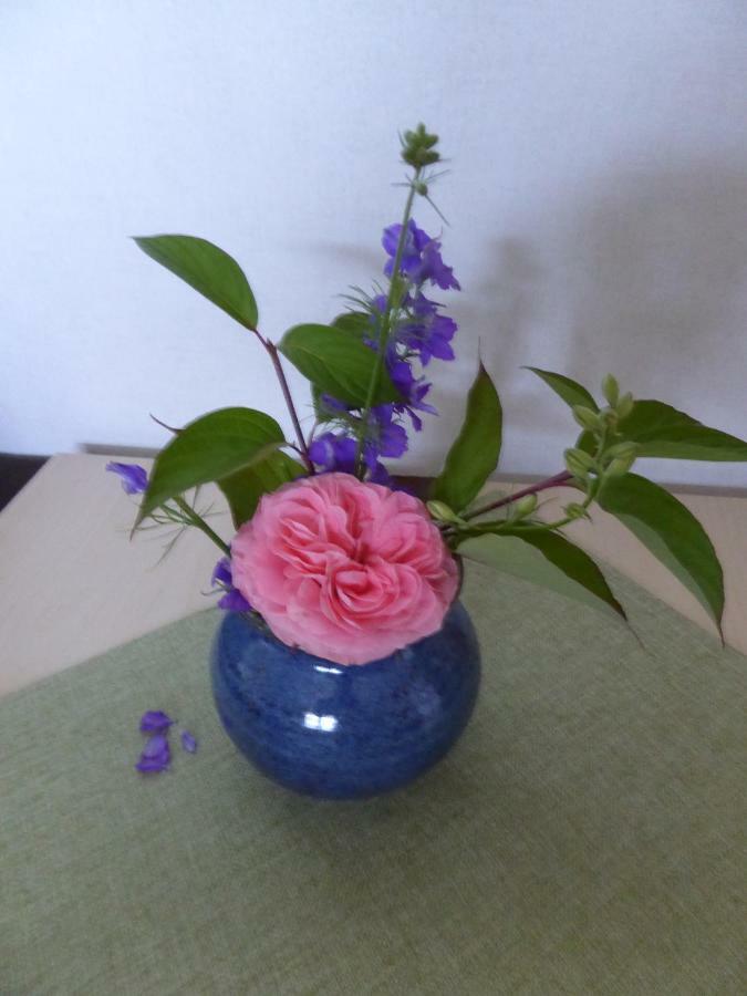 Ferienwohnung Dora 1 ミヒェルシュタット エクステリア 写真